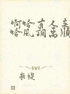 啊哈有人来了啊哈风调禹顺