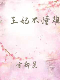 王妃不懂规矩