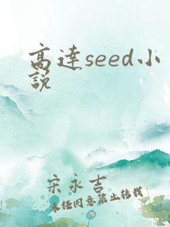 高达seed小说