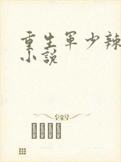 重生军少辣娇妻小说