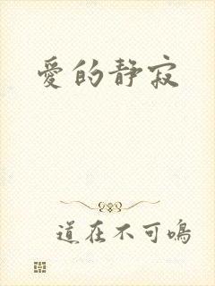爱的静寂