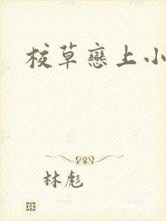 校草恋上小丫头