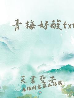 青梅好酸txt