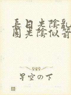 长日光阴乱作一团光阴似箭