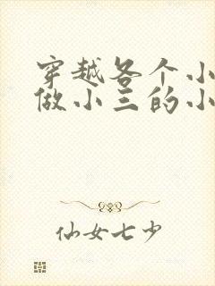 穿越各个小世界做小三的小说