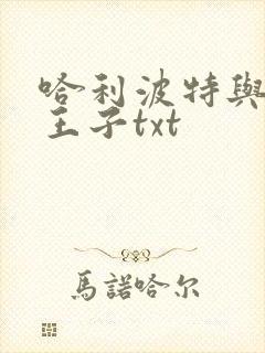 哈利波特与混血王子txt