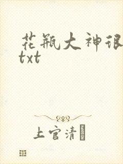 花瓶大神很菜鸟txt