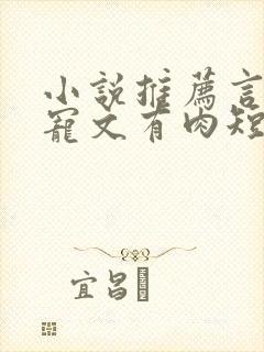 小说推荐言情甜宠文有肉短篇完结