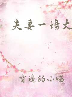 夫妻一场大结局