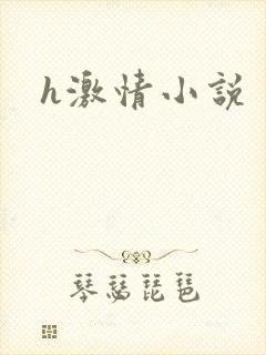 h激情小说