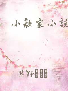 小敏家小说