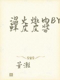 温火炖肉BY海鲜皮皮酱