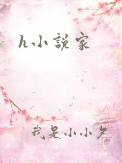 h小说家