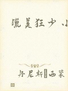 猎美狂少 小说