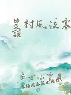 农村风流寡妇小说