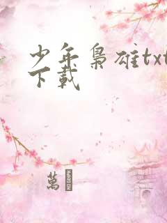 少年枭雄txt下载