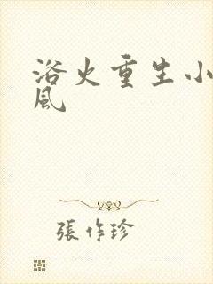 浴火重生小说陈风