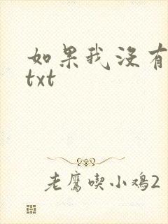 如果我没有爱过txt