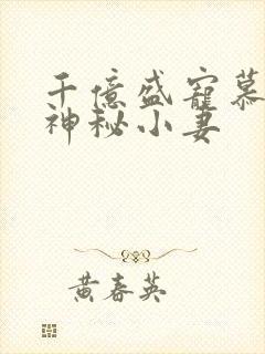 千亿盛宠慕少的神秘小妻