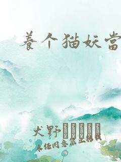 养个猫妖当老婆