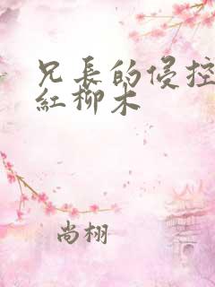 兄长的侵控by红柳木