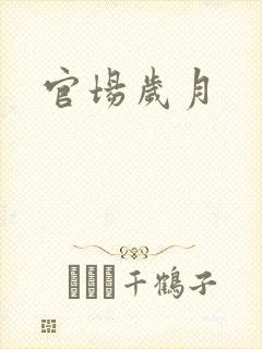 官场岁月