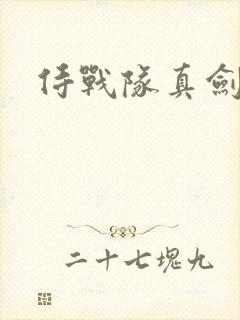 侍战队真剑者2