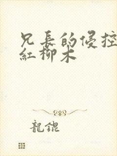 兄长的侵控by红柳木