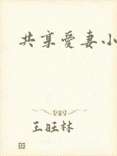 共享爱妻小说