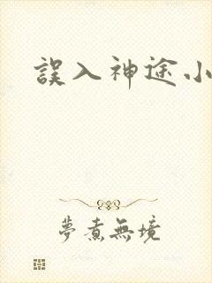 误入神途小说