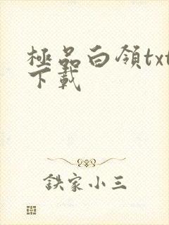 极品白领txt下载