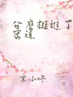 公么挺进了我的密道