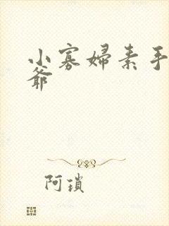 小寡妇素手擒四爷