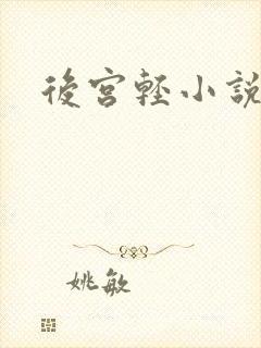 后宫轻小说