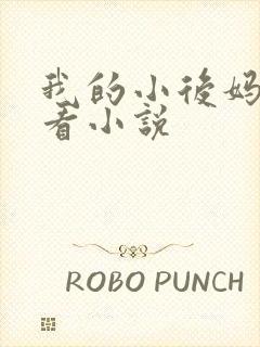 我的小后妈免费看小说