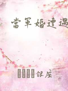 当军婚遭遇爱情