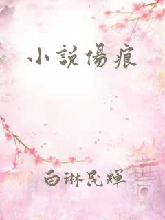 小说伤痕