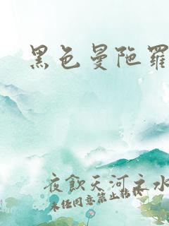 黑色曼陀罗杀手