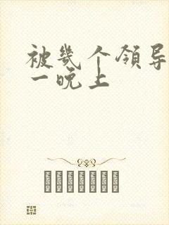 被几个领导玩弄一晚上