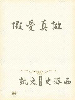 假爱真做