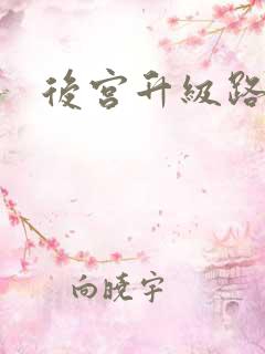 后宫升级路