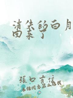 消失的白月光又回来了