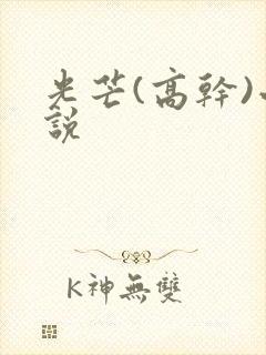 光芒(高干)小说