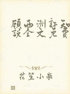 顾西洲许知意小说全文免费阅读