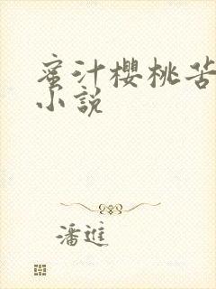 蜜汁樱桃苦咖啡小说