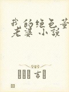 我的绝色董事长老婆 小说