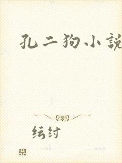 孔二狗小说