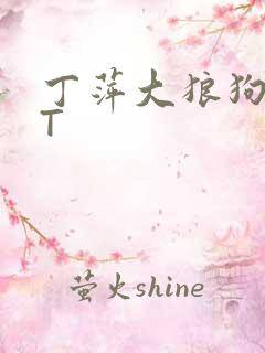 丁萍大狼狗TXT