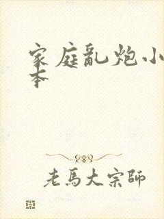 家庭乱炮小说全本