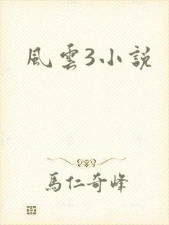 风云3小说